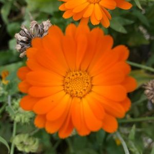 Meet your Posher, Marie